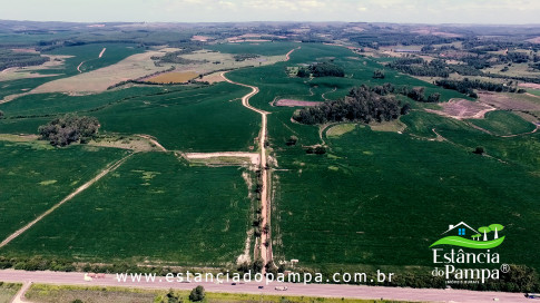 INICIO 3.00_00_38_08.Quadro007_22c10ac9f793847cca57e37610bfd934224b8e7e.jpg